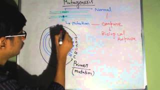 Site directed mutagenesis [upl. by Bowes]