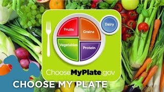 Choose My Plate Dietary Guidelines [upl. by Mirth]