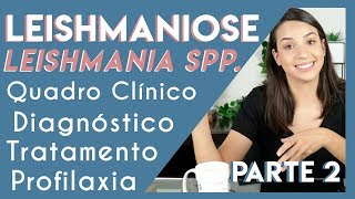 Leishmaniose Leishmania spp  Parte 2  PARASITOLOGIA 5 [upl. by Gnourt]