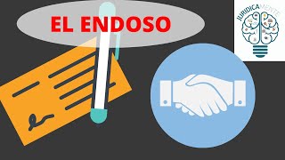 EL ENDOSO  TIPOS DE ENDOSO [upl. by Kellby]