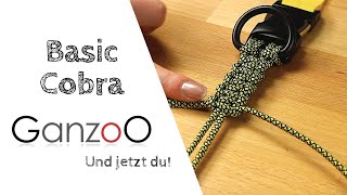 Basic Cobra Knoten  Paracord Halsband Hund [upl. by Elimac852]