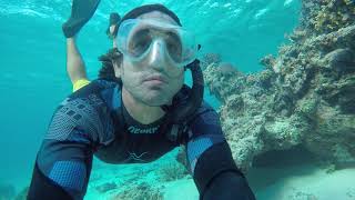 Snorkeling FIJI world class coral reefs [upl. by Asli]