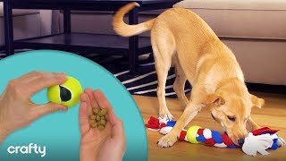 3 Super Simple DIY Dog Toys Your Dogs Will LOVE [upl. by Alage322]