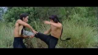 Five Shaolin Masters  Training Scene  Shaw Brothers [upl. by Sel513]