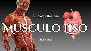 MÚSCULO LISO músculos parte 3  FISIOLOGIA HUMANA 8 [upl. by Eimme245]