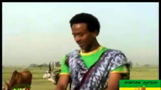 Melaku Nigus track 4 2013 New Ethiopian music Rayan Music Wollo Music Ethiopian Music [upl. by Nella407]