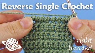 Reverse Single Crochet righthanded version [upl. by Hake888]