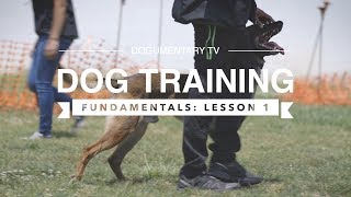 DOG TRAINING FUNDAMENTALS LESSON 1 [upl. by Saltsman]