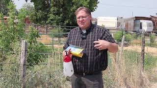 Gardening basics How to control bindweed in flower beds [upl. by Nagoh493]