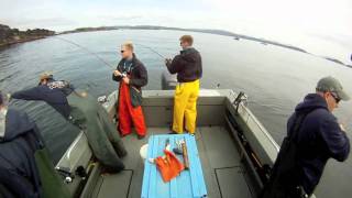 The Best Salmon Fishing is in Craig Alaska [upl. by Analla]