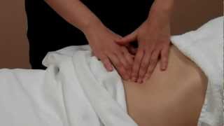 Qi Nei Zang Chinese Abdominal Massage [upl. by Slater]