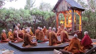 Pali Chanting In The Abhayagiri Buddhist Monastery  Theravada Buddhism [upl. by Erny]