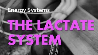 The Lactate System  Energy Systems 03  Anatomy amp Physiology [upl. by Ailil]