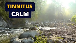 Tinnitus Relief Sound Therapy  Ambient River White Noise [upl. by Hirsch]