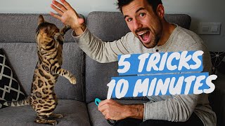 Learn 5 CAT TRICKS in 10 minutes  Easy amp Cool Clicker Training Tricks [upl. by Airamalegna]