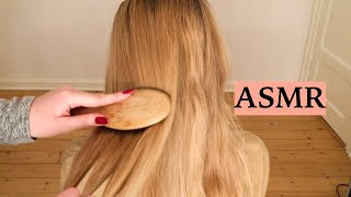 ASMR 1 HOUR HAIR BRUSHING COMPILATION NO TALKING [upl. by Rabelais]