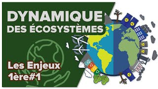 Dynamique des écosystèmes  SVT  ENJEUX 1ère spé 1  Mathrix [upl. by Ayotol]