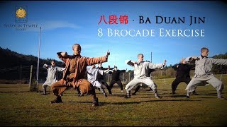 八段锦 · Ba Duan Jin 8 Brocade Exercise Qi Gong [upl. by Keri]