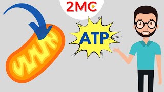 Cellular Respiration Overview  Glycolysis Krebs Cycle amp Electron Transport Chain [upl. by Akered]