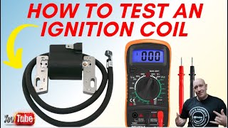 How to Test A Lawn Mower  Ignition Coil Magneto With A Multimeter easy [upl. by Doughty]