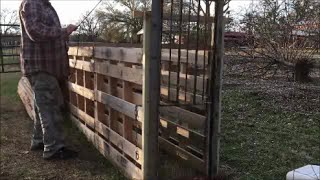 Small Livestock Working ChutePart 2A Guillotine Gate [upl. by Lienet]