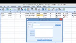 IBM SPSS Tutorial Cómo Ingresar Datos [upl. by Catharine396]