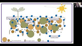 HerbicideSoil Interactions — Take Actions quotInside Weed Managementquot Series [upl. by Fredek]