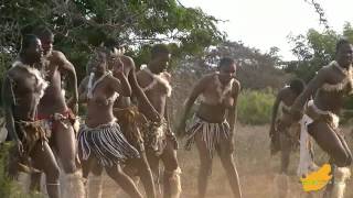 ZuidAfrika Zulu Dans Hluhluwe 13 [upl. by Niwroc]