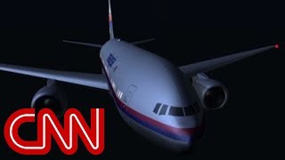 Was MH370 a quotghost planequot [upl. by Ateuqirne494]