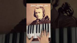 Hungarian Dance 5 Brahms piano tutorial hungariandance brahms pianotutorial music [upl. by Emmett208]