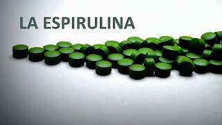 La ESPIRULINA Beneficios y otras SORPRESAS [upl. by Clerc503]