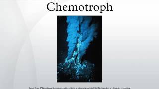 Chemotroph [upl. by Meda]