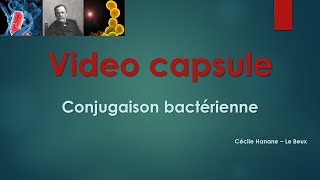 Video Capsule  Conjugaison bactérienne [upl. by Suolekcin]