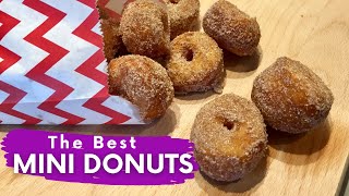 Homemade Mini Donuts Recipe just like the ones at the FAIR [upl. by Ettenel]