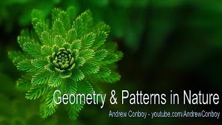 Patterns in Nature  Symmetry Fractals amp Geometry [upl. by Gleda201]