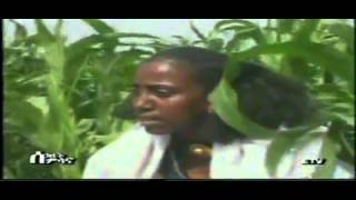 Ethiopian traditional Raya Music quotbesolaquot [upl. by Ahsined]