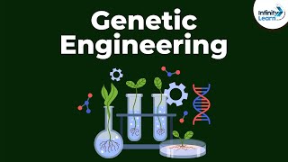 Genetic Engineering  Genetics  Biology  Dont Memorise [upl. by Aicemed651]