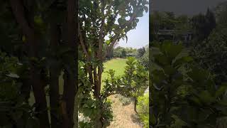 Luxury farm house chattarpur south delhi realestate luxury [upl. by Anais826]