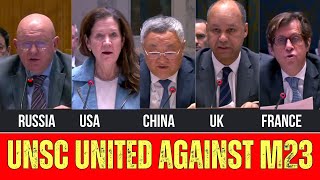 United Nations Security Council Unanimously Condemn M23 [upl. by Ahsanat]