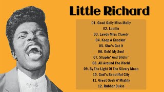 Little Richard Greatest Hits Full Album Top Song Of Little Richard Rock n Roll [upl. by Donielle396]