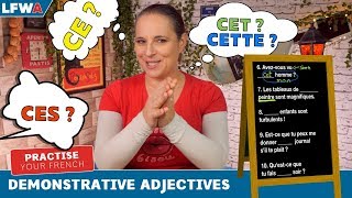 Practise your French demonstrative adjectives CE CET CETTE CES [upl. by Calendra]