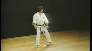 Heian Nidan  Shotokan Karate [upl. by Narrad]