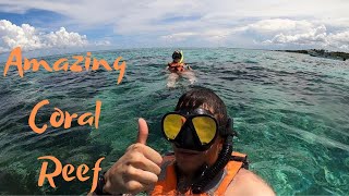 Snorkeling in Cancun Mexico  The Mesoamerican Reef  Excursions In Cancun Mexico [upl. by Ertemed]