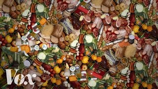 Food waste is the worlds dumbest problem [upl. by Wrand]