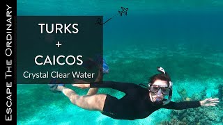 Turks and Caicos Our Best Snorkeling Experience [upl. by Alithea113]