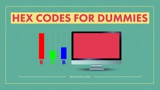 HEX CODE for Dummies The NonTechnical Guide Base16 [upl. by Millisent345]