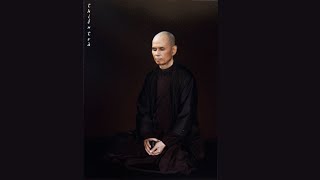 Sitting with the Buddha  Guided Meditation by Thich Nhat Hanh [upl. by Quartet714]