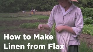 How to Make Linen from Flax [upl. by Roxy484]