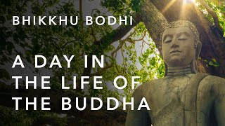 A Day in the Life of the Buddha  Bhikkhu Bodhi [upl. by Fransen]