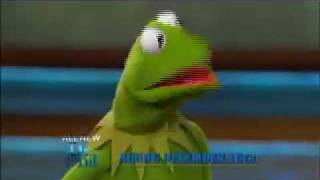 The Dr Phil Show  Dr Phil and Kermit The Frog [upl. by Charil]